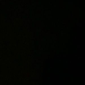 Meet your Posher, Terry